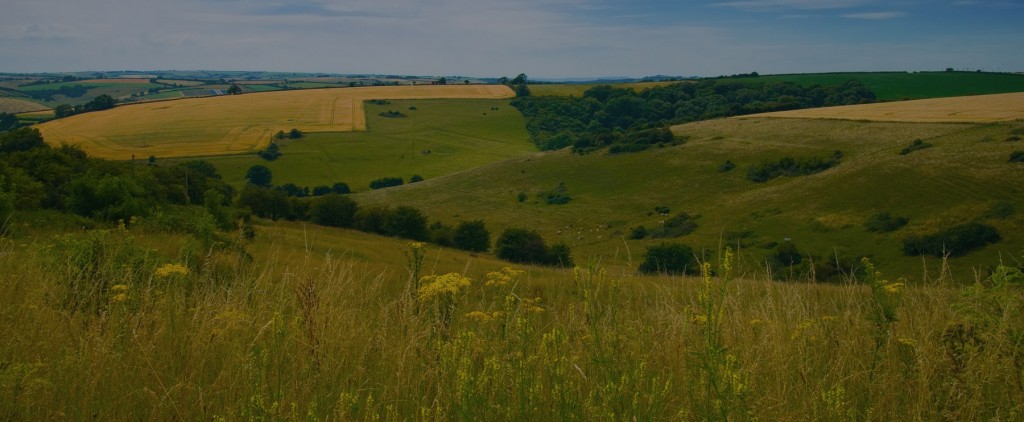 Beech Ridge Farm