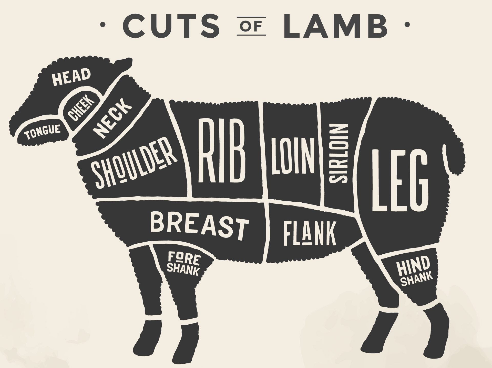 Cuts of lamb Beech Ridge Farm